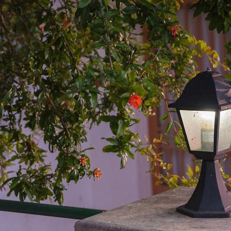 Filippa'S Katoi Διαμέρισμα Δρυμώνας Εξωτερικό φωτογραφία
